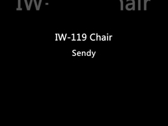 가죽은 재 나무 흑색 컬러와 어떤 팔걸이 나무로 된 식당 의자들도 가구 비치하지 않았습니다