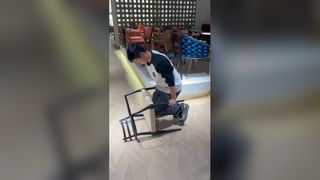 조각적인 물푸레나무 식당 의자 현대적인 디자인